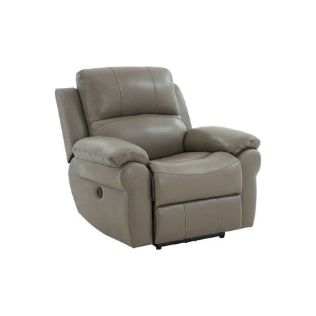 Danica High Grade Leather Power Recliner Kwality