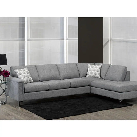 SBF Hopkins 2Pc Sofa Set Roma Ash Grey Sofa by Fancy