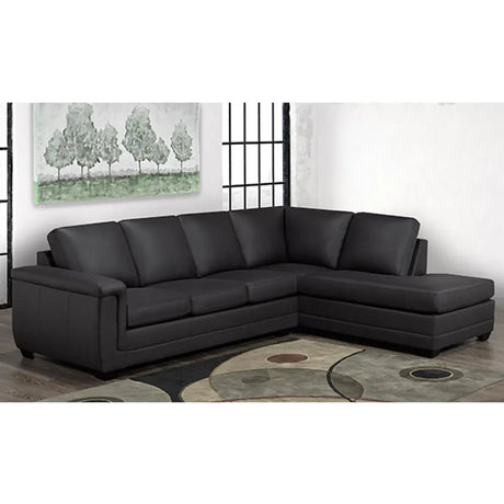 SBF 2PC Floyd Black Sectional Sofa by Fancy