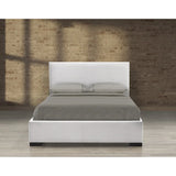 Kaye Platform Bed Brassex