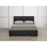 Kaye Platform Bed Brassex