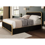 T2334 Modern Storage Bed in Black Titus