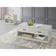 Titus Versatile 2pc Coffee Table Set in White Titus