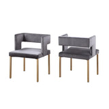 Anthony Dining Chair Set in Grey Brassex