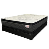 Ortho Classic Pillow Top Mattress Sleep In